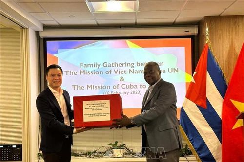 Việt Nam luôn trân trọng mối quan hệ hữu nghị đặc biệt với Cuba