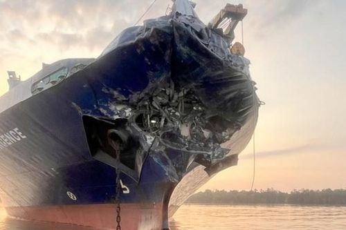 Thành phố Hồ Chí Minh: Hai tàu hàng va chạm trên sông Lòng Tàu