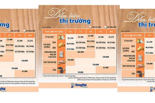 DIỄN BIẾN THỊ TRƯỜNG TỪ 6-2 ĐẾN 10-2-2023