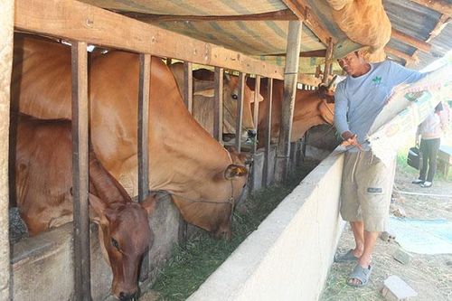 Các 'Tổ Nhân dân tự quản' phát huy vai trò trong tuyên tuyền, vận động