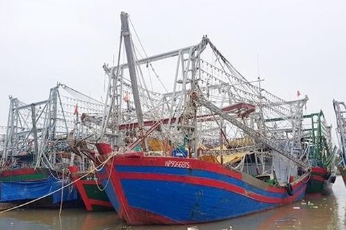 Hàng trăm tàu cá nằm bờ do thiếu thuyền viên
