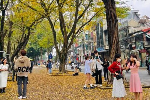 Giới trẻ thích thú check in 'góc trời thu' giữa tiết Xuân Hà Nội