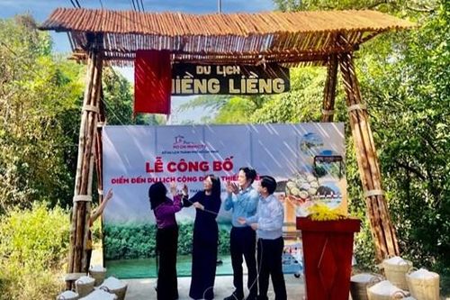Thiềng Liềng khởi sắc