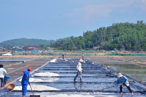 Trở lại cánh đồng muối Sa Huỳnh