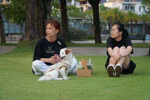 Giải pháp cho 'xung đột thú cưng' tại chung cư ở TP.HCM