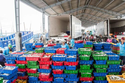 Sát cánh cùng doanh nghiệp đồng bằng sông Cửu Long