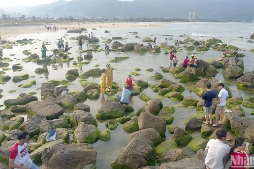 Về Rạn Nam Ô - Mùa rêu xanh
