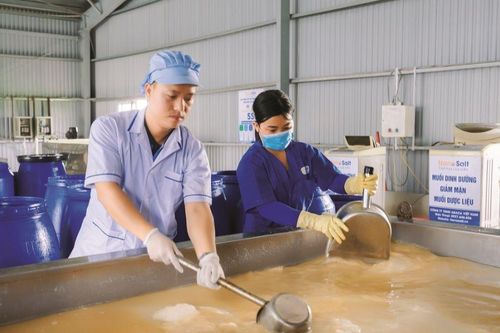 Bài ca mật muối và ước mơ của gã khổng lồ bé nhỏ giữa đồng bằng