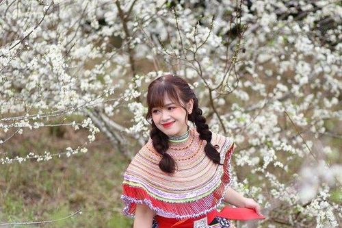 Lạc bước 'thiên đường trắng' Chù Lìn mùa hoa mận nở