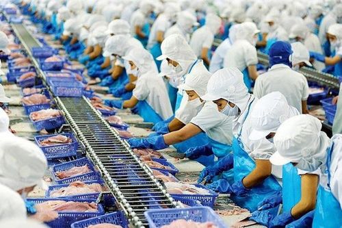Nhu cầu tuyển dụng ở các nhà máy tại ĐBSCL tăng mạnh