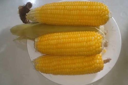 Buổi sáng 'nạp' những thực phẩm này: Vừa có lợi cho sức khỏe lại giúp ngăn ngừa ung thư