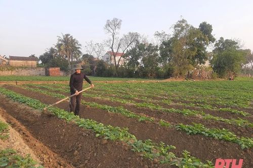 Hoằng Hóa đẩy mạnh tích tụ đất đai tạo tiền đề thu hút doanh nghiệp