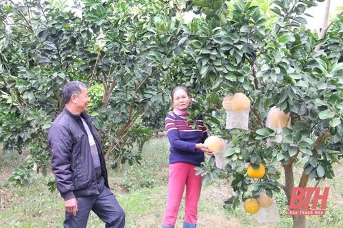 Chuyển biến trong 'tự soi, tự sửa' ở Đảng bộ huyện Cẩm Thủy