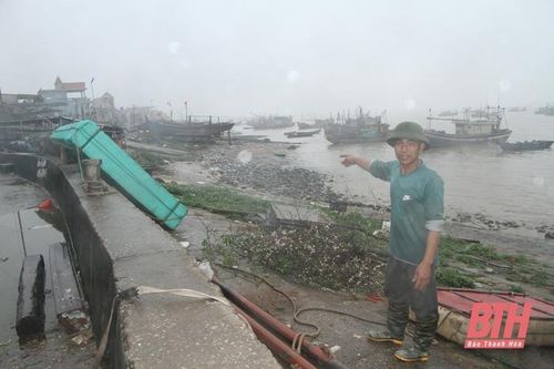 Hậu Lộc nỗ lực bảo vệ môi trường biển