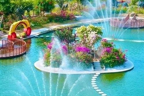 Về hiện tượng lạ 'bàn tay Phật'