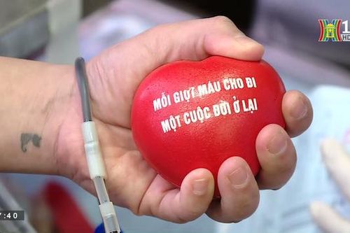 Địa chỉ từ thiện (ngày 12/02/2023)