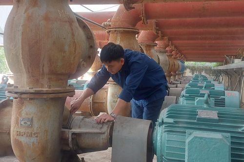 Hà Nội còn 16% diện tích chưa có nước cấy lúa