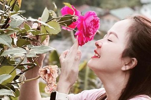 'Thủ phủ hoa hồng' ở Đà Lạt đắt hàng dịp Valentine dù giá tăng mạnh