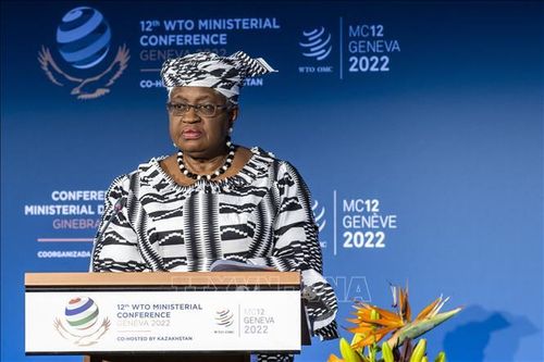 Tổng Giám đốc WTO nhấn mạnh ưu tiên cải cách hệ thống giải quyết tranh chấp thương mại