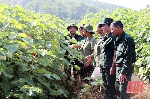 Nữ cựu thanh niên xung phong làm kinh tế giỏi, nghĩa tình với đồng đội