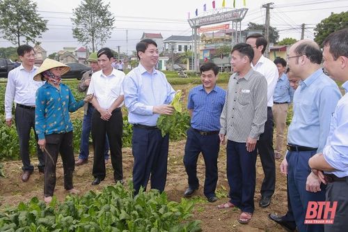 Phó Chủ tịch UBND tỉnh Lê Đức Giang thăm một số mô hình sản xuất nông nghiệp hiệu quả tại Hậu Lộc và Hoằng Hóa