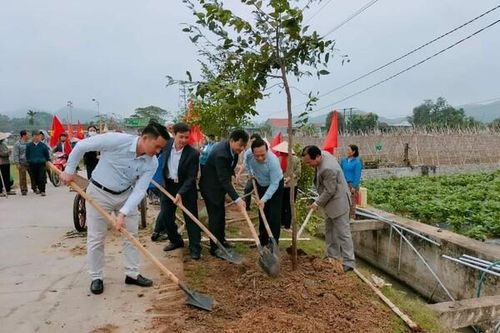 Nghệ An: Hội Nông dân tỉnh Nghệ An phát động phong trào 'Tết trồng cây' tại huyện Quỳnh lưu