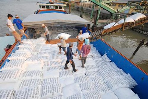 Cục Bảo vệ thực vật nói gì khi xuất khẩu gạo sang Trung Quốc gặp khó?