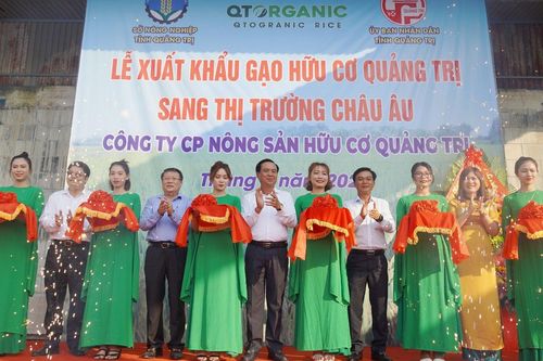 Quảng Trị xuất khẩu lô gạo hữu cơ đầu tiên sang châu Âu
