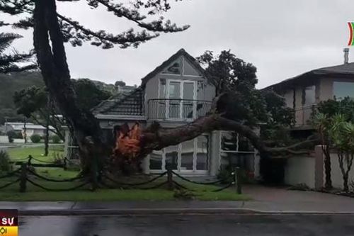 New Zealand ban bố tình trạng khẩn cấp do bão Gabrielle