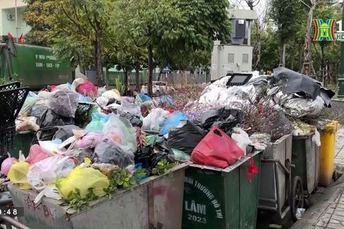 Tập kết rác thải cạnh vườn hoa gây ô nhiễm môi trường