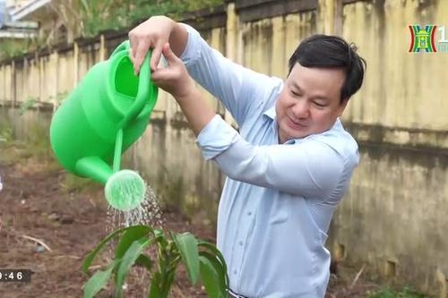 Ngành Đường sắt phát động Tết trồng cây