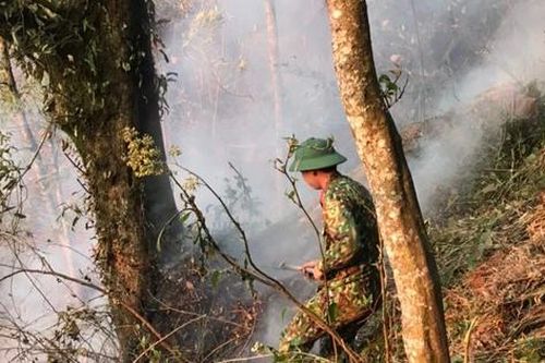 Sau mưa đá cường độ mạnh, Sa Pa lại xảy ra cháy rừng
