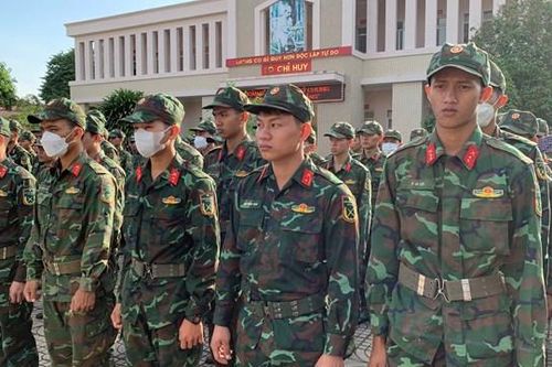Quân khu 7 tăng cường bộ đội giúp nông dân Bà rịa - Vũng Tàu thu hoạch hồ tiêu