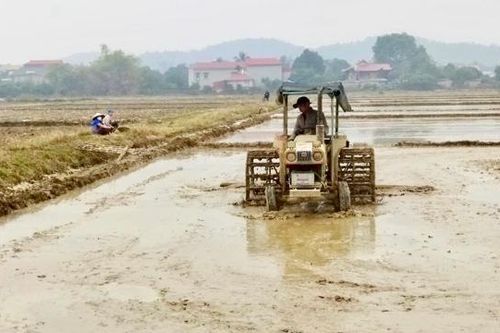 Hà Nội chưa lấy đủ nước vụ Xuân, Bộ NN&PTNT đề nghị khẩn EVN