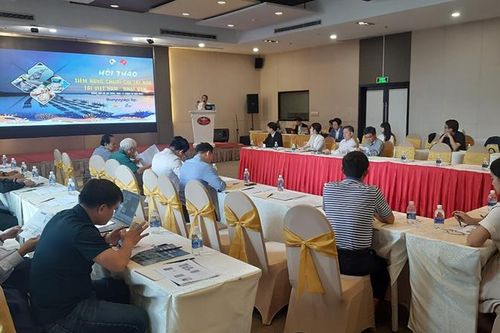 Nâng cao chuỗi giá trị hàu Việt Nam
