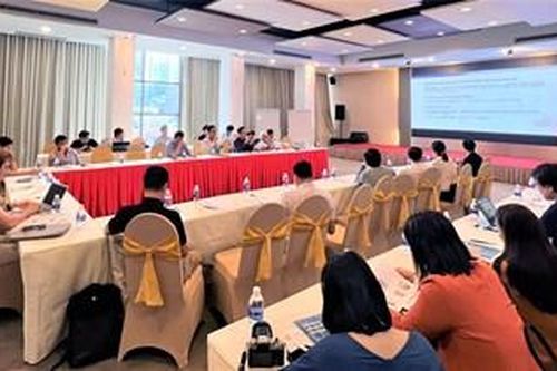 JICA hợp tác phát triển nghề nuôi hàu tại Việt Nam