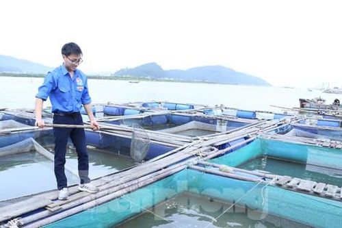 Bí thư chi đoàn là đảng viên trẻ xuất sắc, thu trăm triệu mỗi năm nhờ nuôi cá