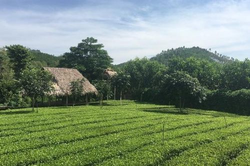 Bắc Giang: Đậm đà hương sắc bản Ven