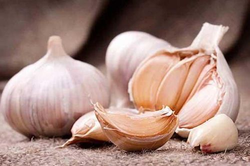Giới y khoa chỉ ra đây chính là 'tiên dược' ngừa ung thư, tốt cho tim mạch và giúp thọ lâu sống khỏe