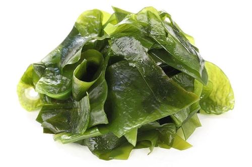 Những công dụng của rong biển với làn da và mái tóc