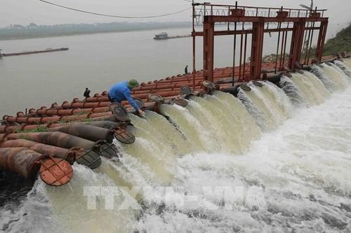 Kiến nghị EVN xả nước bổ sung, hỗ trợ Hà Nội lấy đủ nước gieo cấy