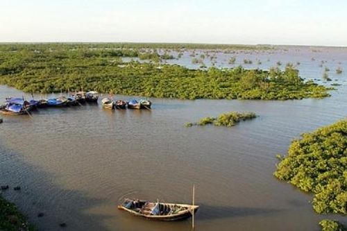 Ninh Bình: Tập đoàn Xuân Thiện xin đầu tư dự án Tổ hợp lọc dầu Kim Sơn 2.500ha