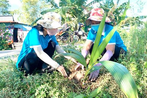 Hiệu quả từ cuộc vận động xây dựng gia đình 5 không 3 sạch