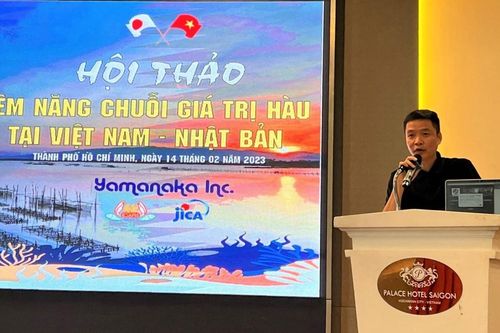 JICA hỗ trợ Việt Nam kỹ thuật nuôi hàu giá trị cao