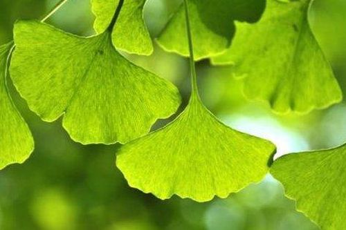 Một số giải pháp giúp cải thiện tuần hoàn máu