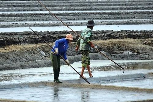 Ngọt mặn trên đồng muối Sa Huỳnh
