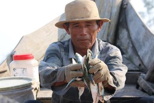 Ngư dân vui mừng đón lộc biển