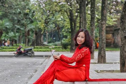 Hà Nội: Hoa ban nở rộ đường Bắc Sơn, giới trẻ nô nức chụp ảnh