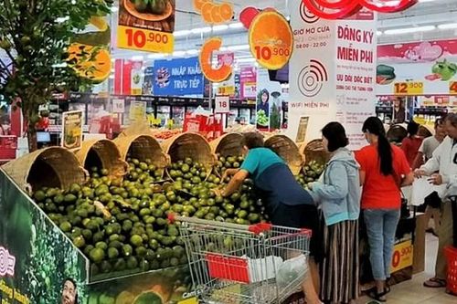 Cam kết tiêu thụ khoảng 25 tấn cam sành Vĩnh Long