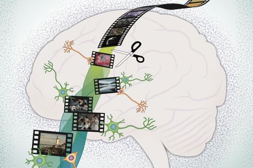 Ký ức của bạn có thể bị thay đổi như thế nào